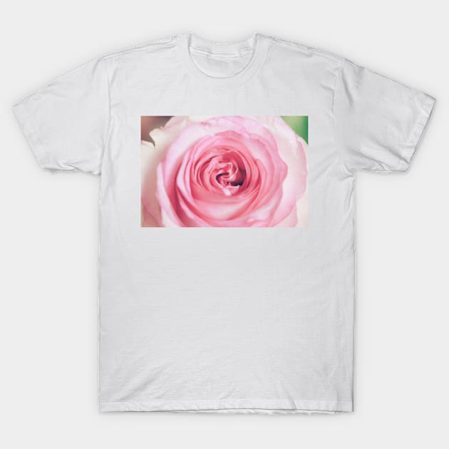 Pink Rose T-Shirt by NewburyBoutique